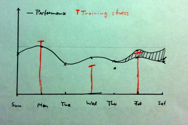 stress adaption cycle in texas method