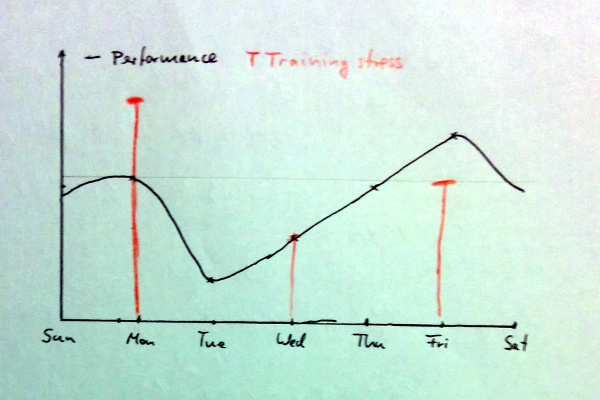 stress adaption cycle in texas method