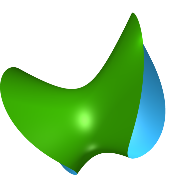 A smooth algebraic set rendered with Surfer.